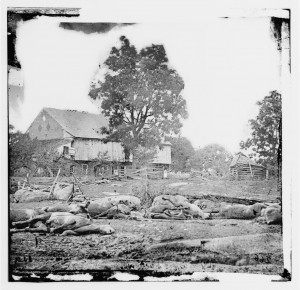 Thousands of horses also perished in the fight at Gettysburg. 