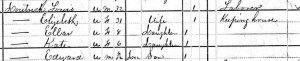 DoutrichLewis-Census1880-001a